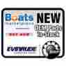 0175385 Evinrude Flywheel