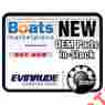 0385810 Evinrude Ring Set Std