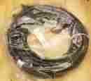 11605-n11-40 Glendinning Cummins Engine Controls Wire Harness