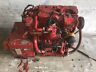 711841514488 Westerbeke Cylinder Generator