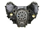 Dm28 Replace Chevy Hp Standard Rotation Marine Engine 653517009181
