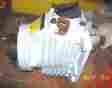 Ms2a-e Volvo Penta Transmission Never Installed 2.4 1 Ratio