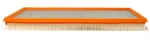Delco A1097C Air Filter For 90-97 Chevrolet Pontiac Corvette Firebird. Fixed Price $399.95.
