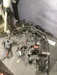 Mercruiser 502 Mag 8.2L Efi Complete Engine Wiring Harness. Fixed Price $549.00.