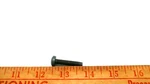 Johnson Evinrude Omc 338607 Taptite Screw. Fixed Price $6.95.