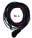 Mercury 1968-1981 Wire Harness Boat 822253A20, T20, 45876A20, A15, A10 Cdi Elec. Fixed Price $347.02.