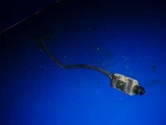 0585106 Switch For Handle 0338254 Johnson Evinrude 9.9HP 15HP. Fixed Price $66.00.