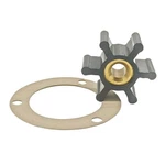 Impeller & Gasket For Onan 131-0160 Pump 131-0165 131-0267 P2563 Hole. Fixed Price $40.50.