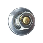 Mercruiser V6-V8 Gm 5.0 5.7 6.2 7.4 8.1 8.2 Thermostat 160 Degree 807252T2 New. Fixed Price $15.88.